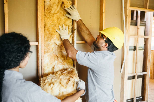 Best Insulation Removal  in Roundup, MT
