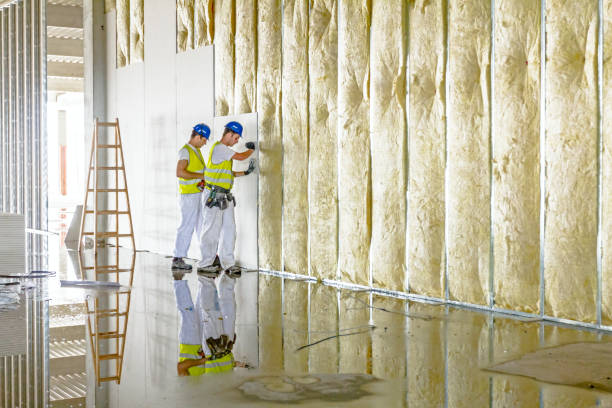 Best Soundproof Insulation Installation  in Roundup, MT